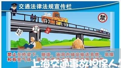上海交通事故担保人怎么处罚/2023040116825 上海交通事故担保人怎么处罚/2023040116825