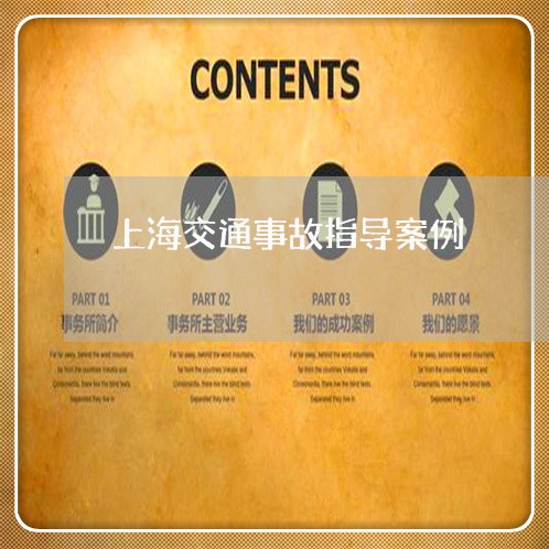 上海交通事故指导案例/2023021360463