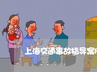 上海交通事故指导案例19号/2023040161502