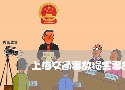 上海交通事故损害事故/2023021373946