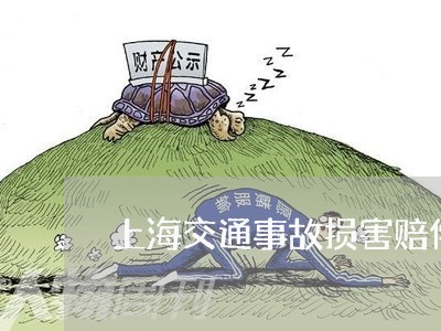 上海交通事故损害赔偿案/2023030103036