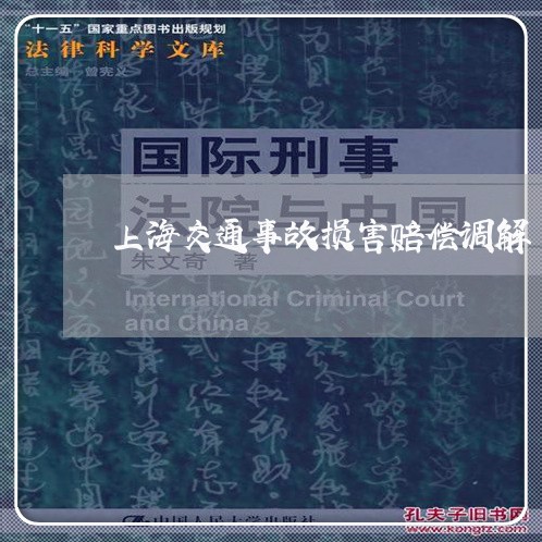 上海交通事故损害赔偿调解/2023031961614