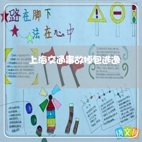 上海交通事故掉包逃逸/2023021394635 上海交通事故掉包逃逸/2023021394635