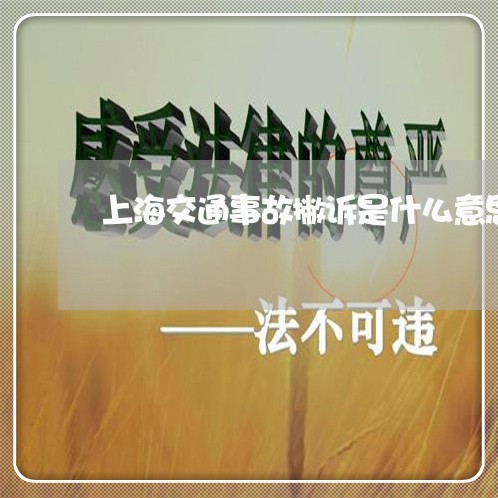 上海交通事故撇诉是什么意思/2023040187938 上海交通事故撇诉是什么意思/2023040187938