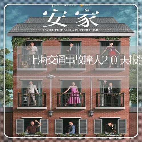 上海交通事故撞人20天报警/2023040148280 上海交通事故撞人20天报警/2023040148280