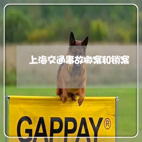 上海交通事故撤案和销案/2023030118472 上海交通事故撤案和销案/2023030118472