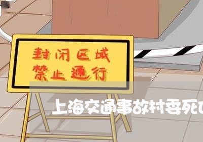 上海交通事故村委死亡证明/2023031949593 上海交通事故村委死亡证明/2023031949593