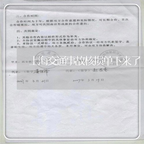 上海交通事故核损单下来了/2023031927162 上海交通事故核损单下来了/2023031927162