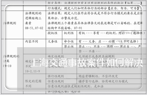 上海交通事故案件如何解决/2023040100634