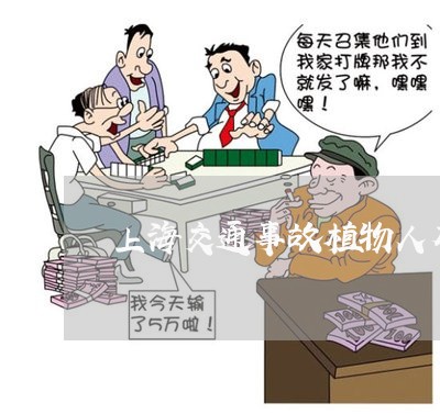上海交通事故植物人有赔偿吗/2023040162824 上海交通事故植物人有赔偿吗/2023040162824