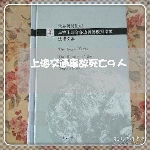 上海交通事故死亡9人/2023021305348 上海交通事故死亡9人/2023021305348