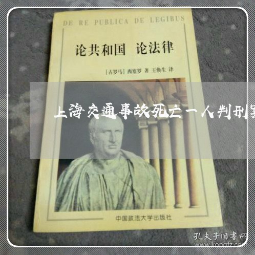 上海交通事故死亡一人判刑案/2023041391615