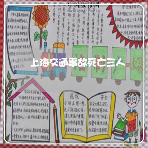 上海交通事故死亡三人/2023021361825 上海交通事故死亡三人/2023021361825