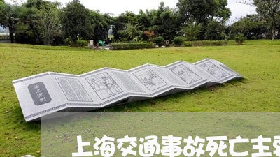 上海交通事故死亡主要责任/2023031938350 上海交通事故死亡主要责任/2023031938350