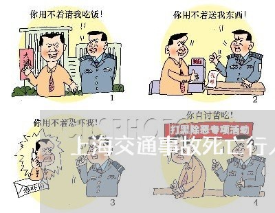 上海交通事故死亡行人赔偿/2023031994823 上海交通事故死亡行人赔偿/2023031994823