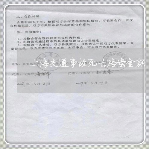 上海交通事故死亡赔偿金额/2023040131693