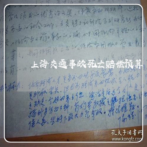 上海交通事故死亡赔偿预算/2023031912813 上海交通事故死亡赔偿预算/2023031912813