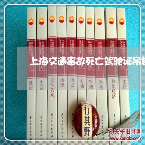 上海交通事故死亡驾驶证吊销/2023040187173 上海交通事故死亡驾驶证吊销/2023040187173
