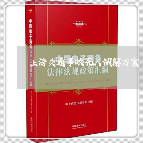 上海交通事故死人调解方案/2023040159494