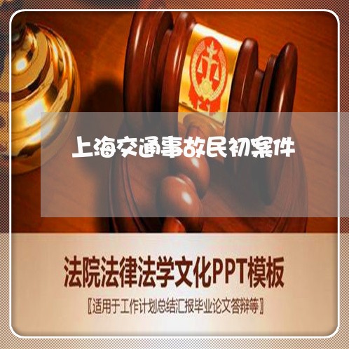 上海交通事故民初案件/2023021331593 上海交通事故民初案件/2023021331593