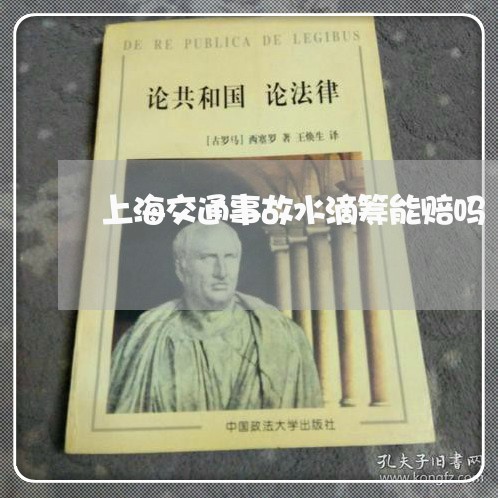上海交通事故水滴筹能赔吗/2023031959379 上海交通事故水滴筹能赔吗/2023031959379