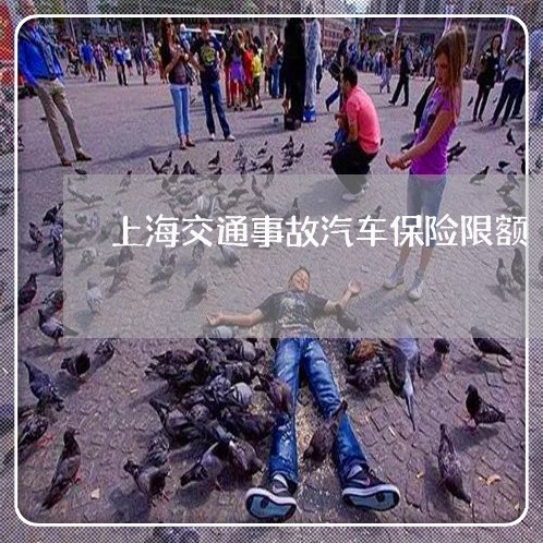 上海交通事故汽车保险限额/2023040172725