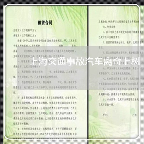 上海交通事故汽车离奇上树/2023031996057 上海交通事故汽车离奇上树/2023031996057