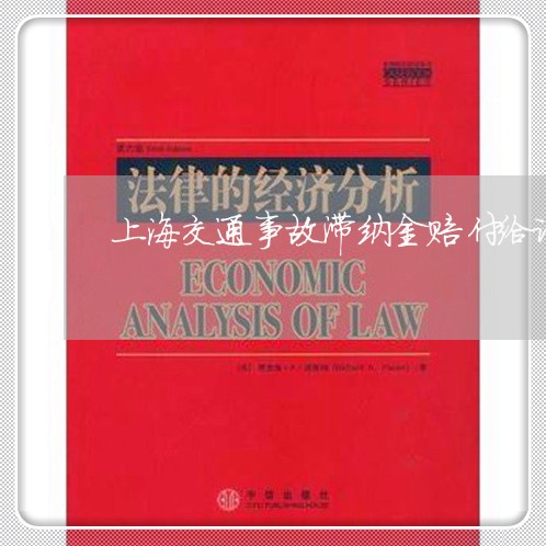 上海交通事故滞纳金赔付给谁/2023040193924