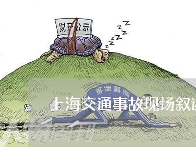 上海交通事故现场叙述书/2023030130402 上海交通事故现场叙述书/2023030130402