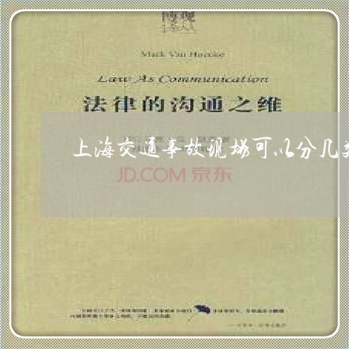上海交通事故现场可以分几类/2023040103727