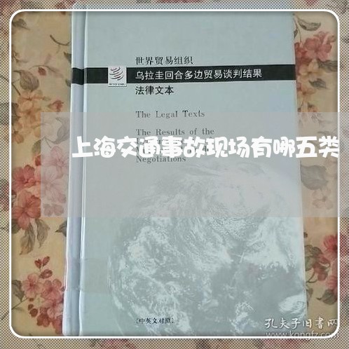 上海交通事故现场有哪五类/2023032072625 上海交通事故现场有哪五类/2023032072625