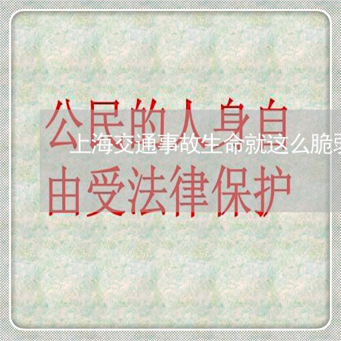 上海交通事故生命就这么脆弱/2023040127379 上海交通事故生命就这么脆弱/2023040127379