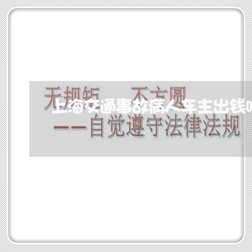 上海交通事故病人车主出钱吗/2023040177409