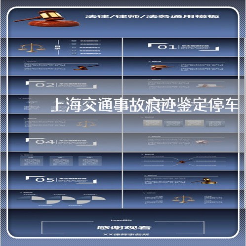 上海交通事故痕迹鉴定停车/2023031967492