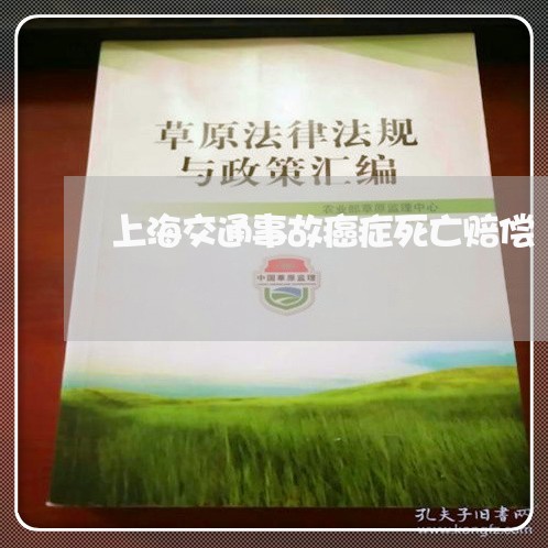 上海交通事故癌症死亡赔偿/2023031900693 上海交通事故癌症死亡赔偿/2023031900693