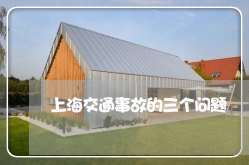 上海交通事故的三个问题/2023030185626 上海交通事故的三个问题/2023030185626