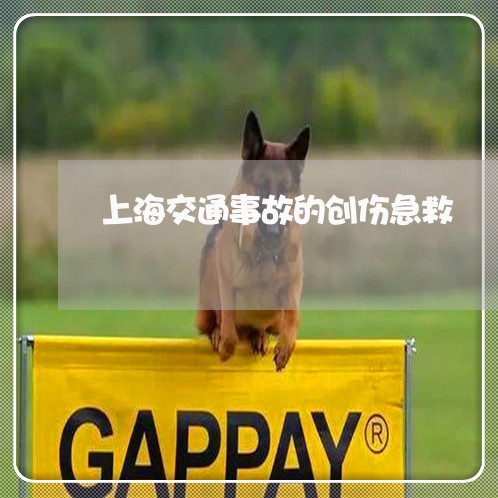 上海交通事故的创伤急救/2023030118148 上海交通事故的创伤急救/2023030118148