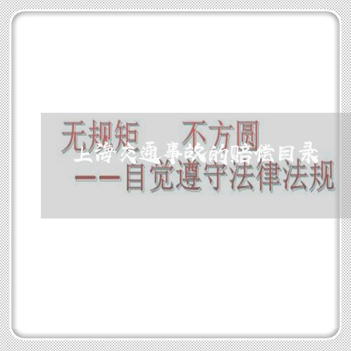 上海交通事故的赔偿目录/2023030170593