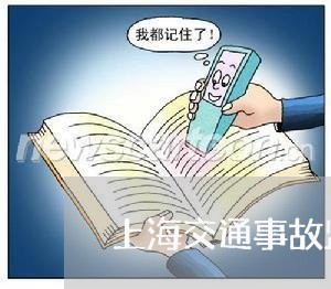 上海交通事故监护人责任案例/2023041347279