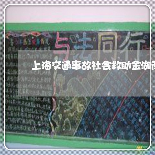 上海交通事故社会救助金湖南/2023040153625 上海交通事故社会救助金湖南/2023040153625