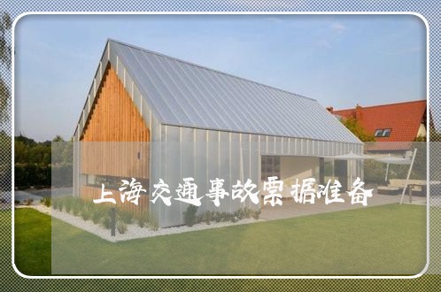 上海交通事故票据准备/2023021382735 上海交通事故票据准备/2023021382735