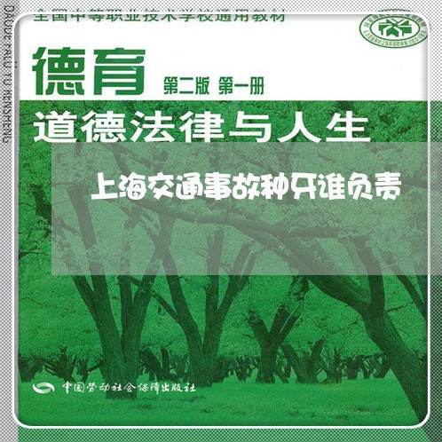 上海交通事故种牙谁负责/2023030165826 上海交通事故种牙谁负责/2023030165826