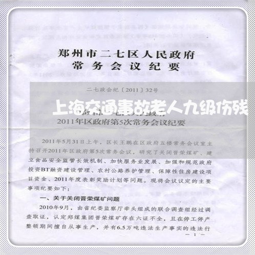 上海交通事故老人九级伤残/2023031992027 上海交通事故老人九级伤残/2023031992027