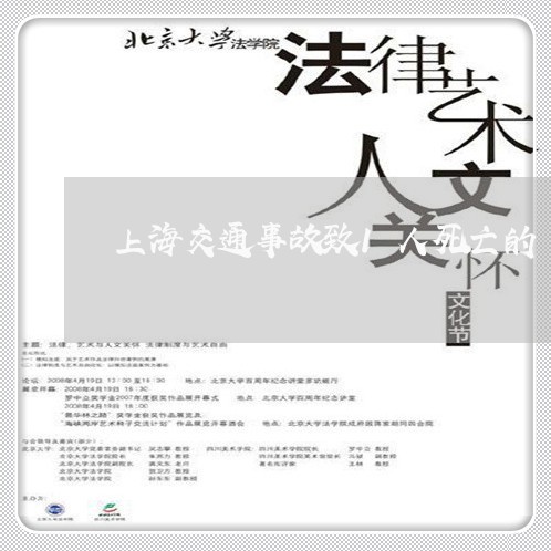 上海交通事故致1人死亡的/2023031989594 上海交通事故致1人死亡的/2023031989594