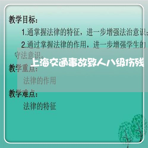 上海交通事故致人八级伤残/2023031995717 上海交通事故致人八级伤残/2023031995717