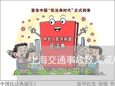 上海交通事故致人双八级伤残/2023033161574