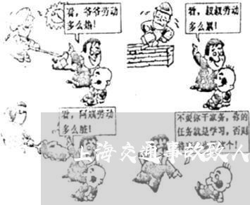 上海交通事故致人死亡无外伤/2023033140495 上海交通事故致人死亡无外伤/2023033140495