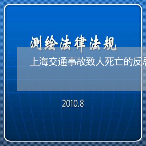 上海交通事故致人死亡的反思/2023033122714