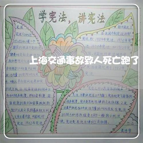上海交通事故致人死亡跑了/2023031803628