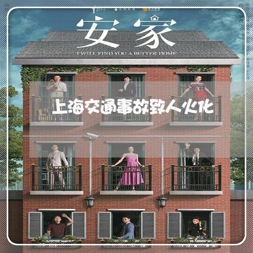 上海交通事故致人火化/2023021259373 上海交通事故致人火化/2023021259373